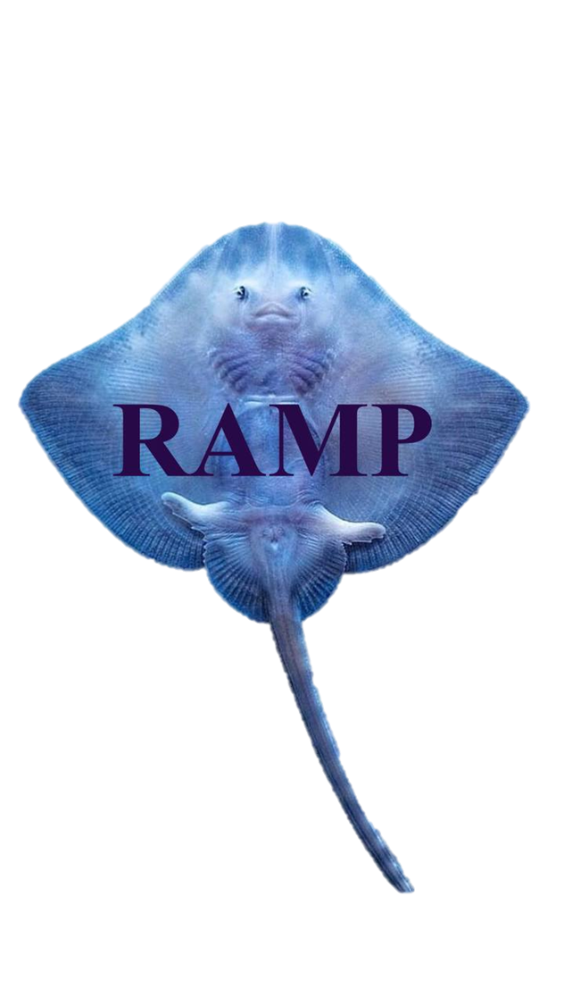  RAMP 
