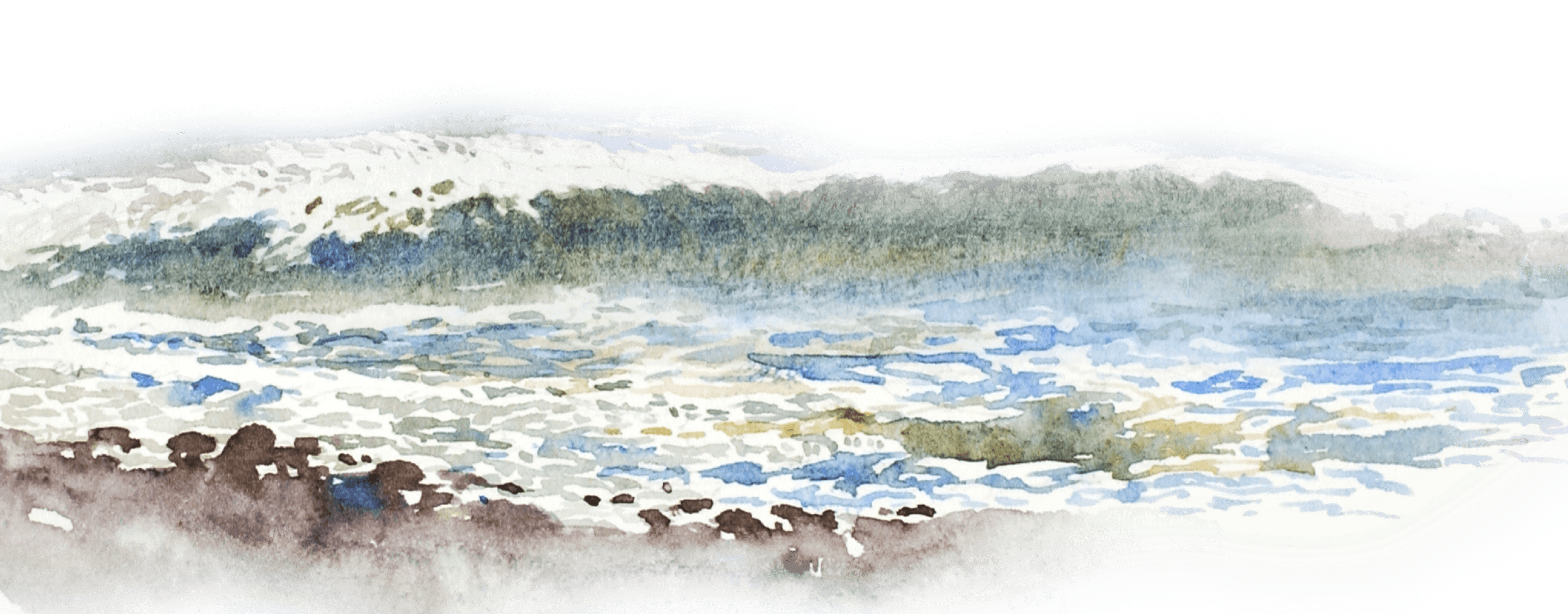 натуральная косметика, магазин профессиональной косметики, крем для ног, крем для ног с мочевиной, крем для ног купить, масло для ногтей, масло монарды для ногтей, масло для ногтей купить, косметика для ногтей, дезодорант для ног