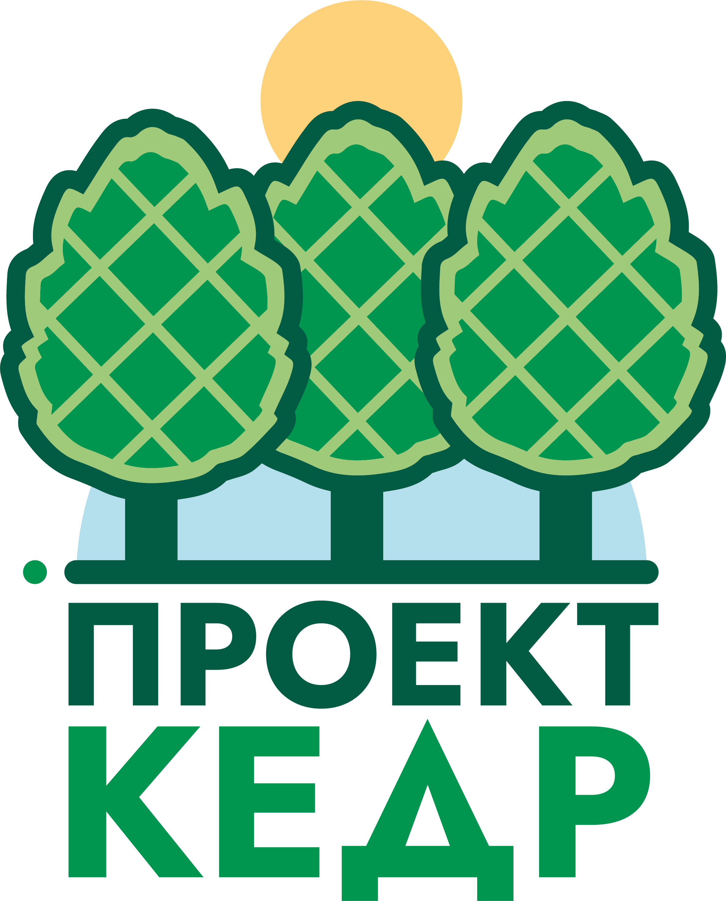 кедр описание. проект кедры россии. деревья занесенные в красную книгу. проекта кедр. у кедра смоленск.