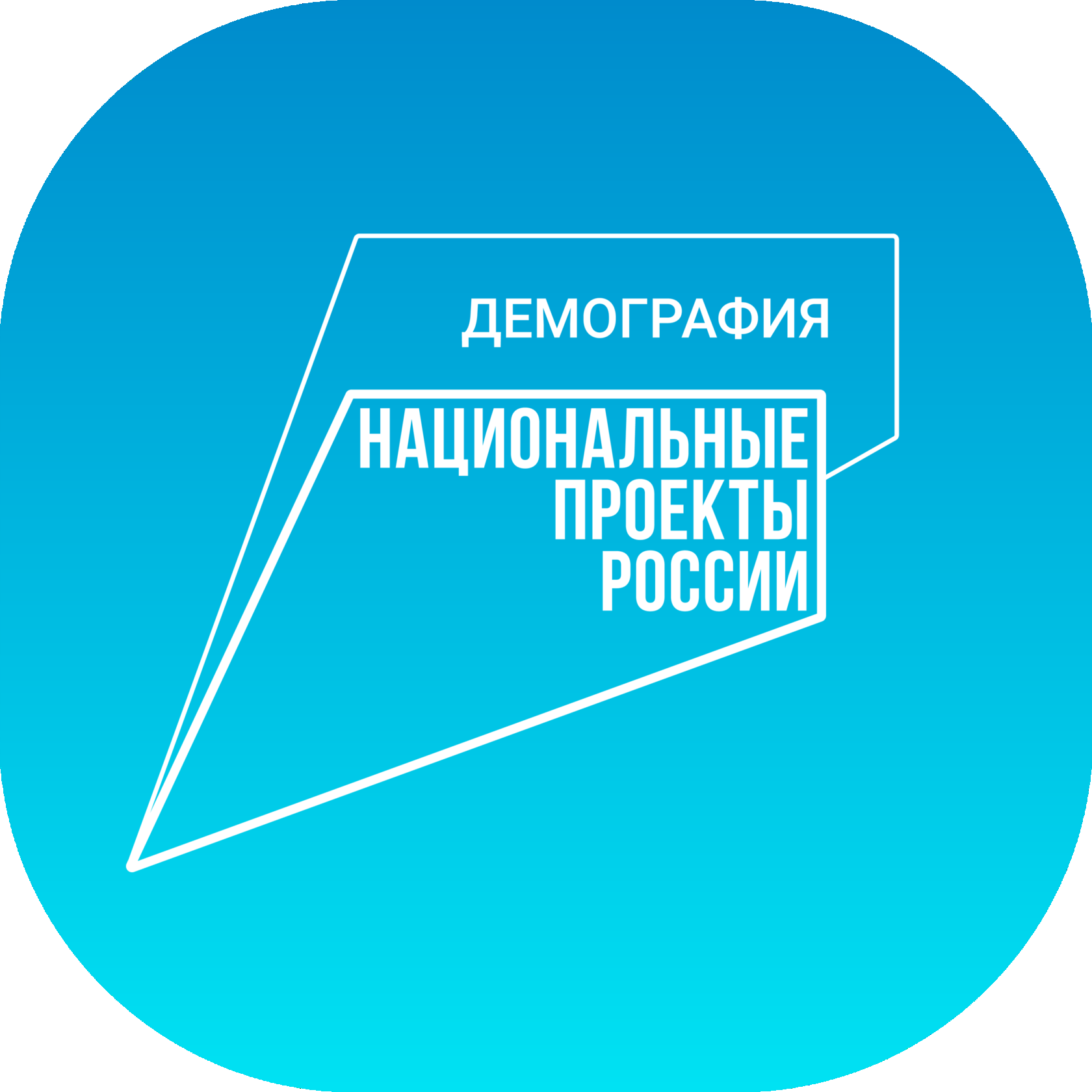 Проект 