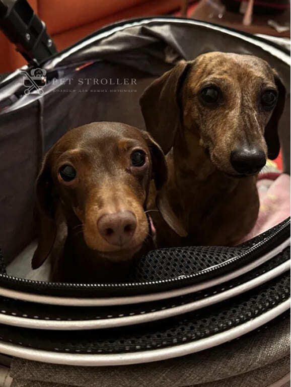 Коляска прогулочная для собак bl09-m