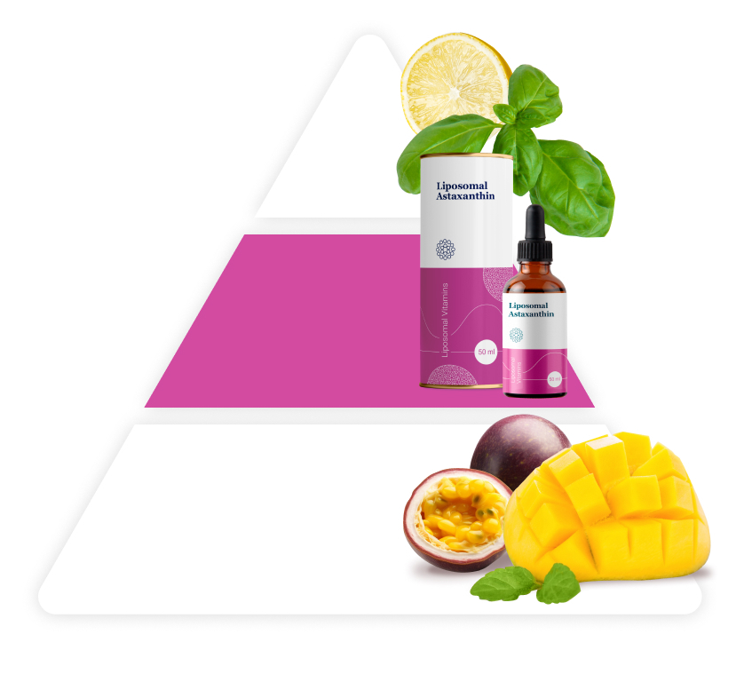 Wellness Bar Cocktails