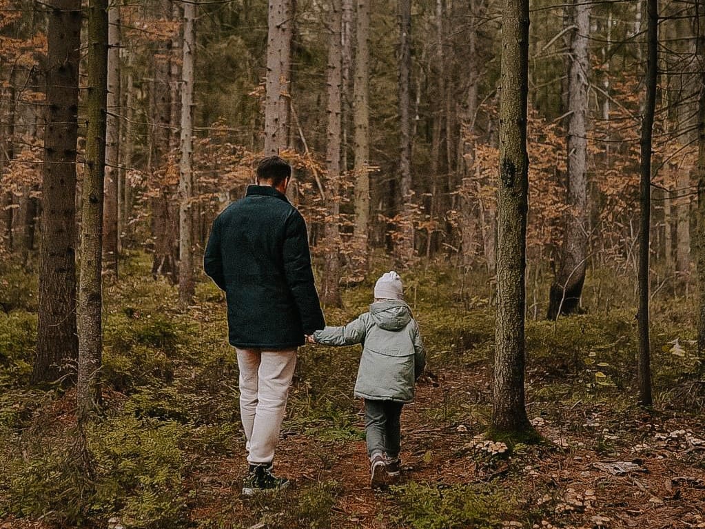 Прогулка в лесу возле эко домиков Под кронами