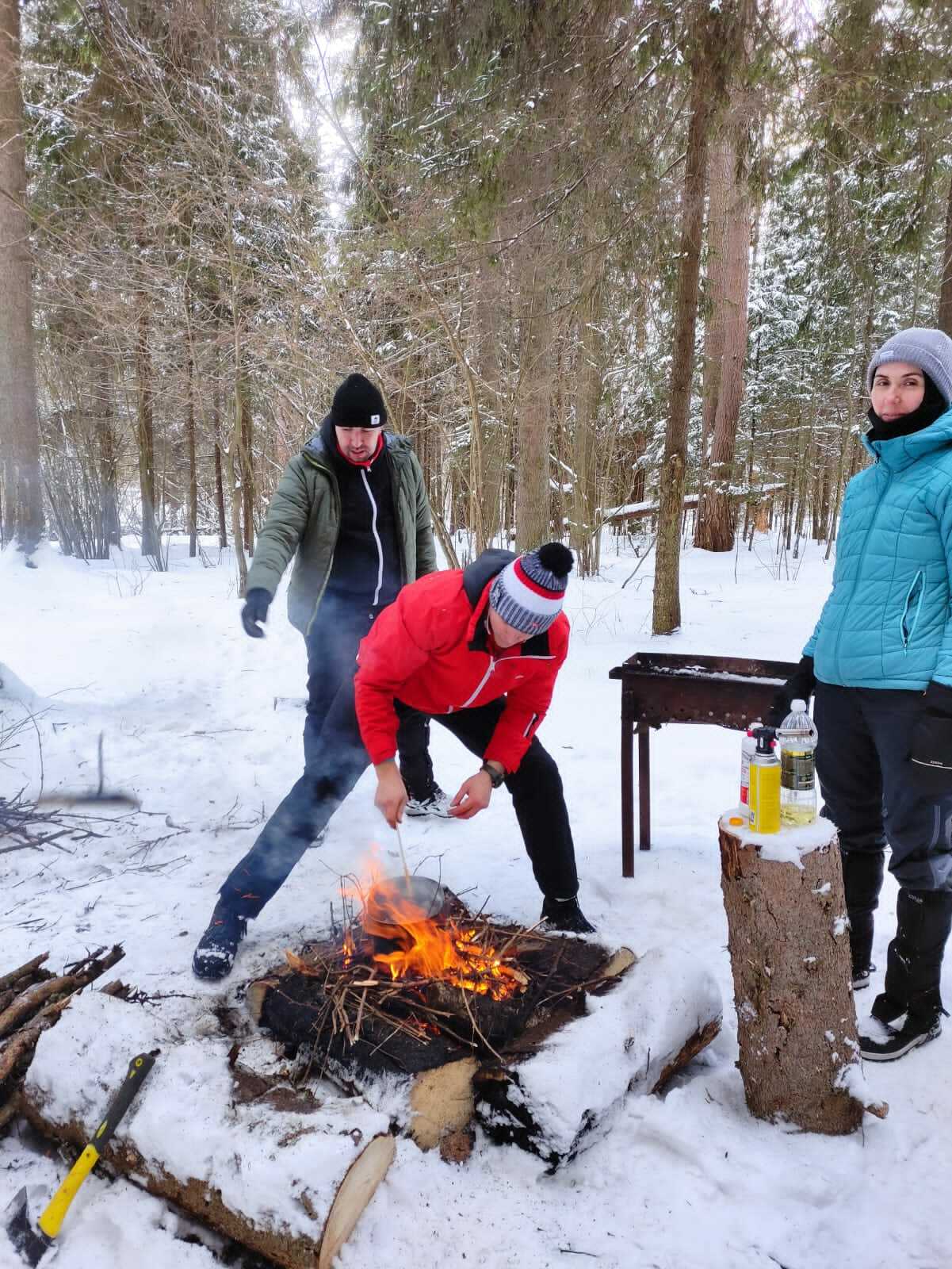 Лес лыжи поход