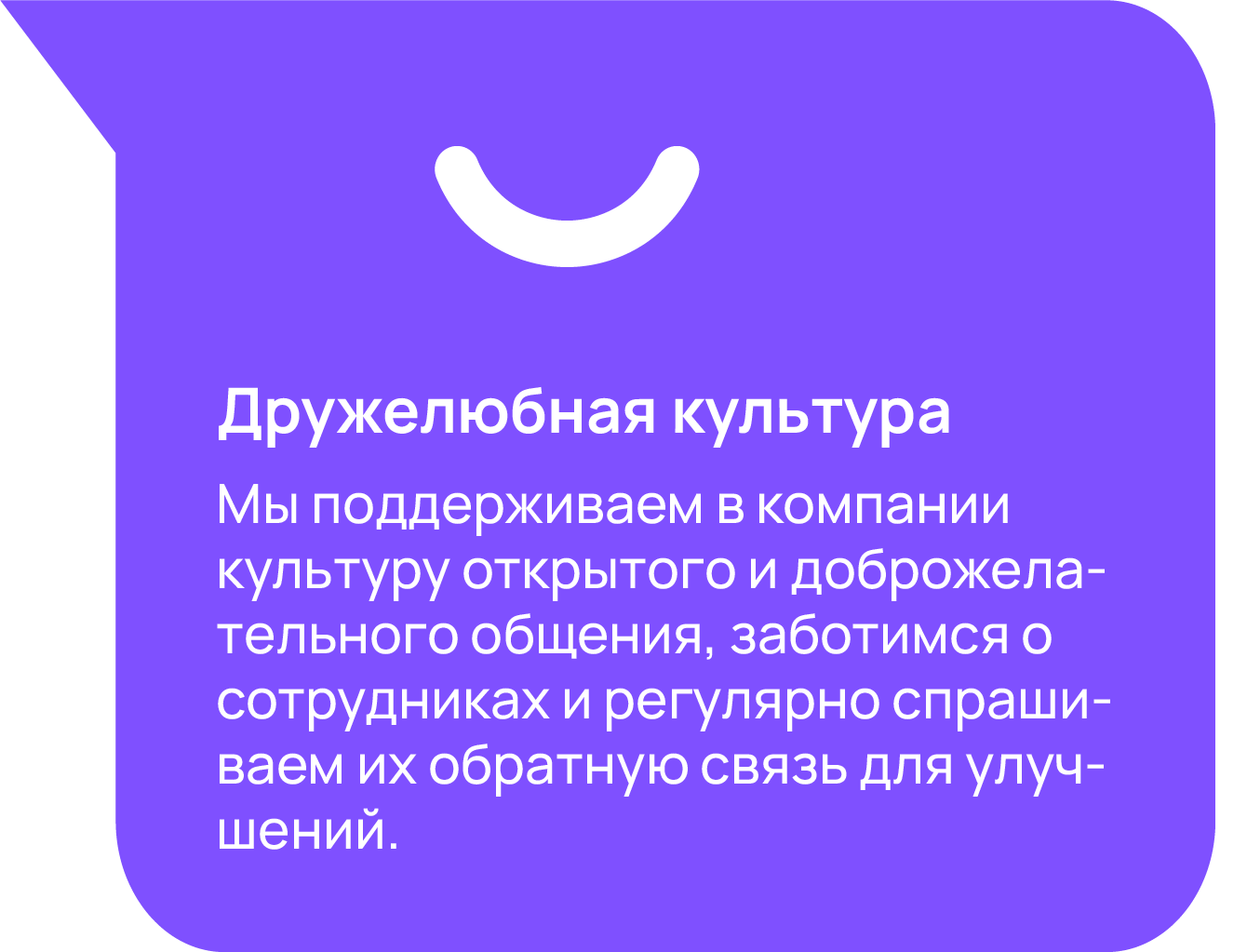 Ваши условия