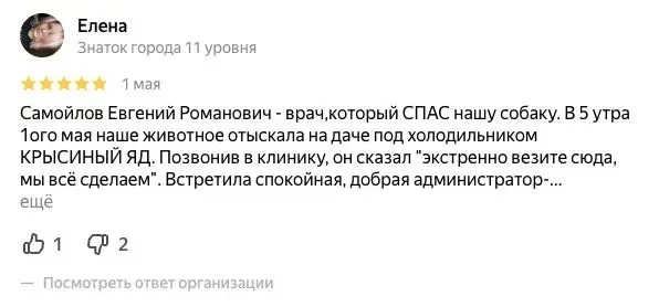 Отзыв о ТерраВет на Яндекс Картах