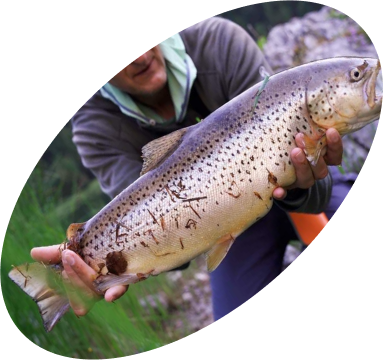 Ловля ручьевой, озёрной и радужной форели в окружении завораживающих пейзажей