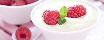 производство сухих ингредиентов, сухие ингредиенты купить, сухой сыр, производство сырного порошка, сырный порошок, сырный порошок купить, сухая сметана, сухие сливки, сухой творог, сухой йогурт, казеинат купить, FineCheese