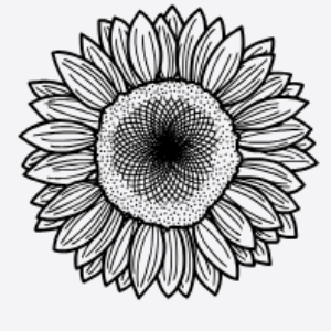 Цветосложение