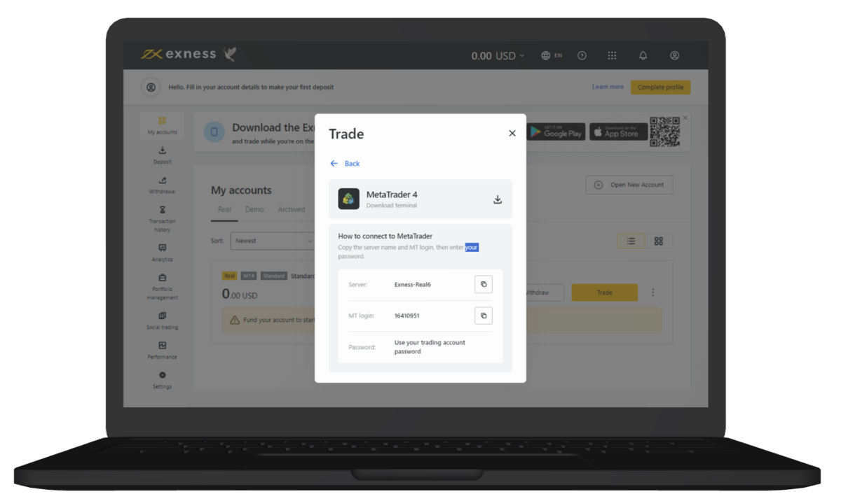 exness broker overview