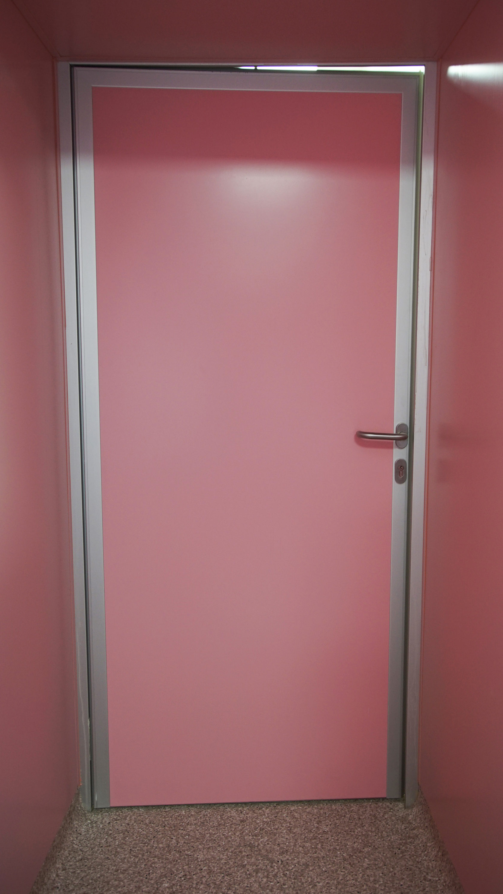 Одностворчатые дверные системы розового цвета