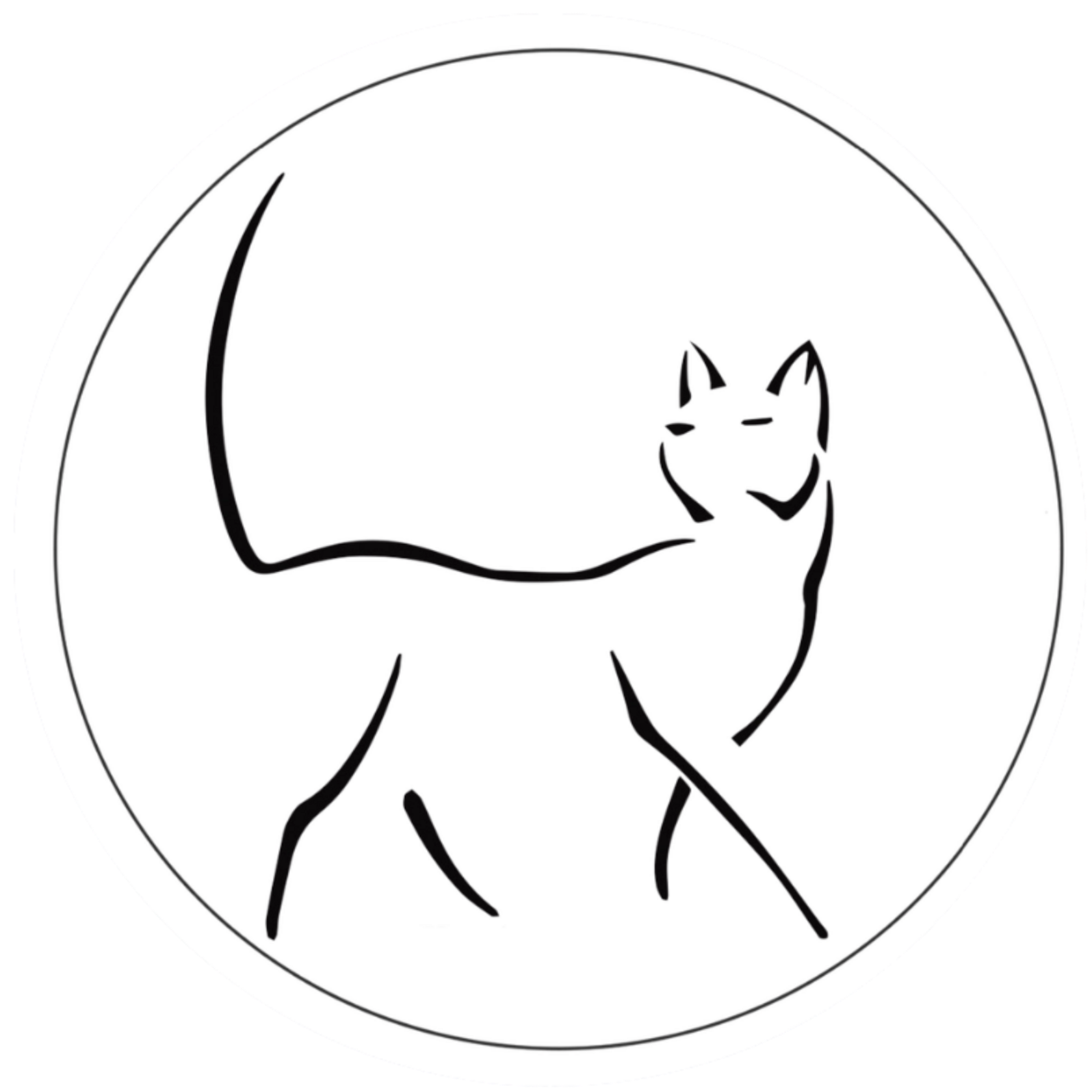  Человек и Кошка 