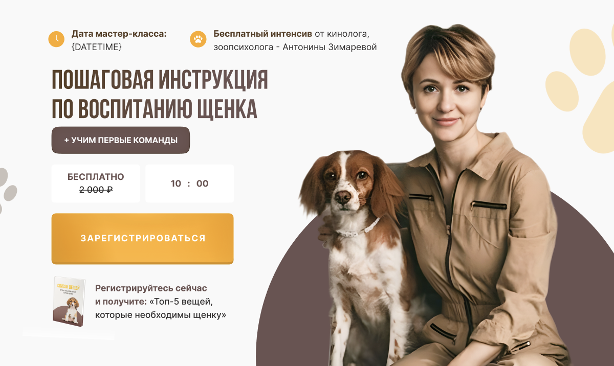 Урок по воспитанию щенка и учим первые команды