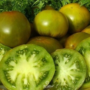 Seeds of Emerald apple tomato (solanum lycopersicum)