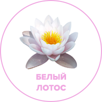 сухой туман аромат белый лотос