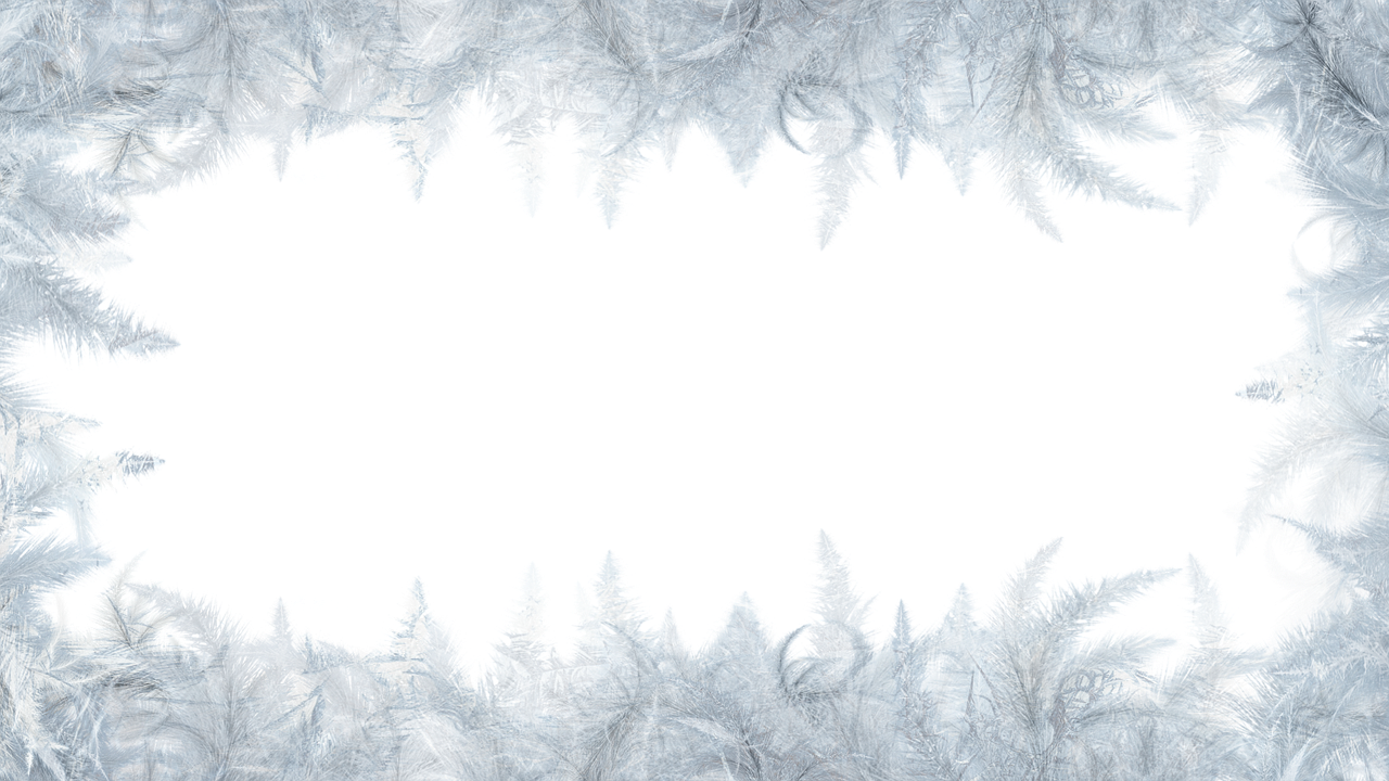 Прайс ветеринарного центра МЕДВЕТ Домодедово