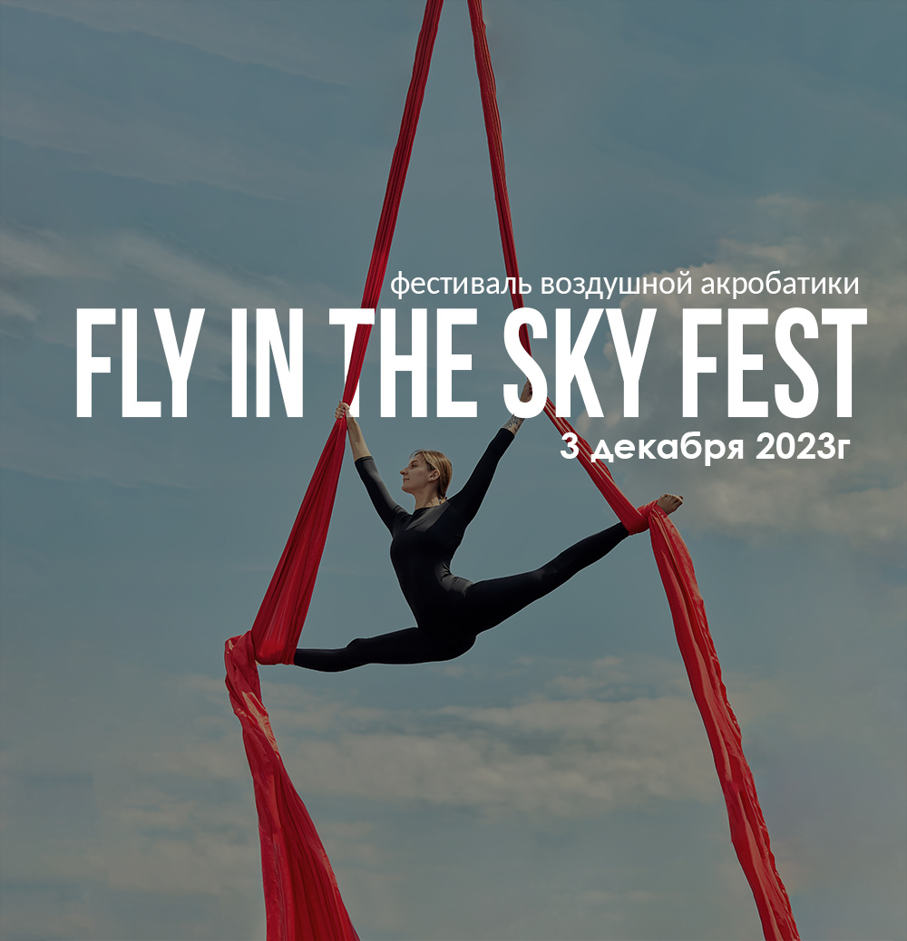 FLY IN THE SKY FEST