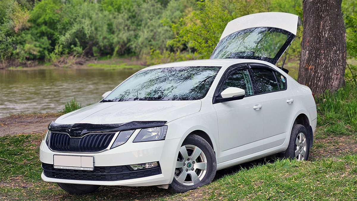 Аренда автомобиля Skoda Octavia на Алтае в Горно-Алтайске