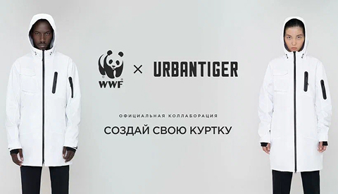 Обложка кейса