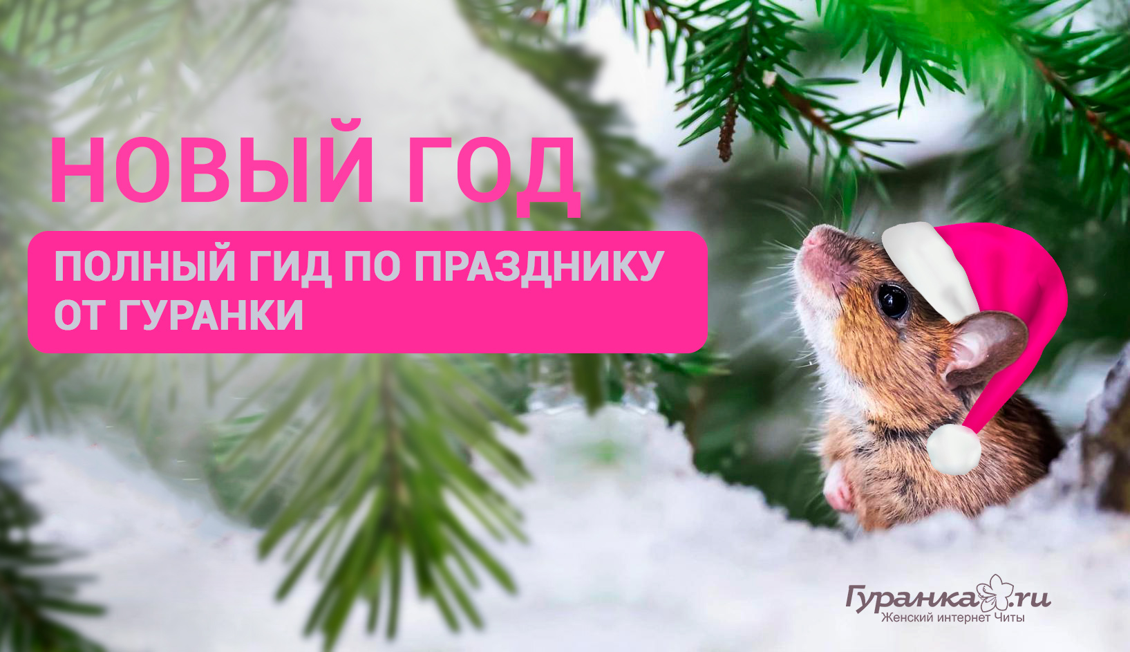 Когда Встречают Новый Год В Чите