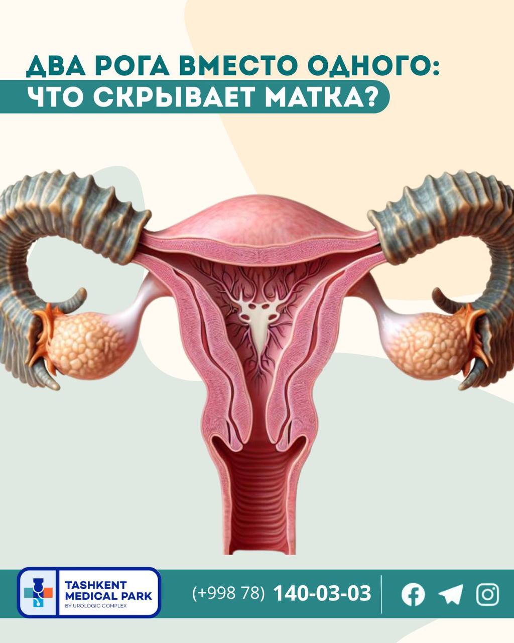 Balaclavada fohisha toping