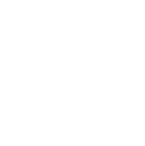 website icon