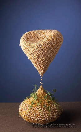 Арт-проект "Игры разума" автор работы Мила Шуманн