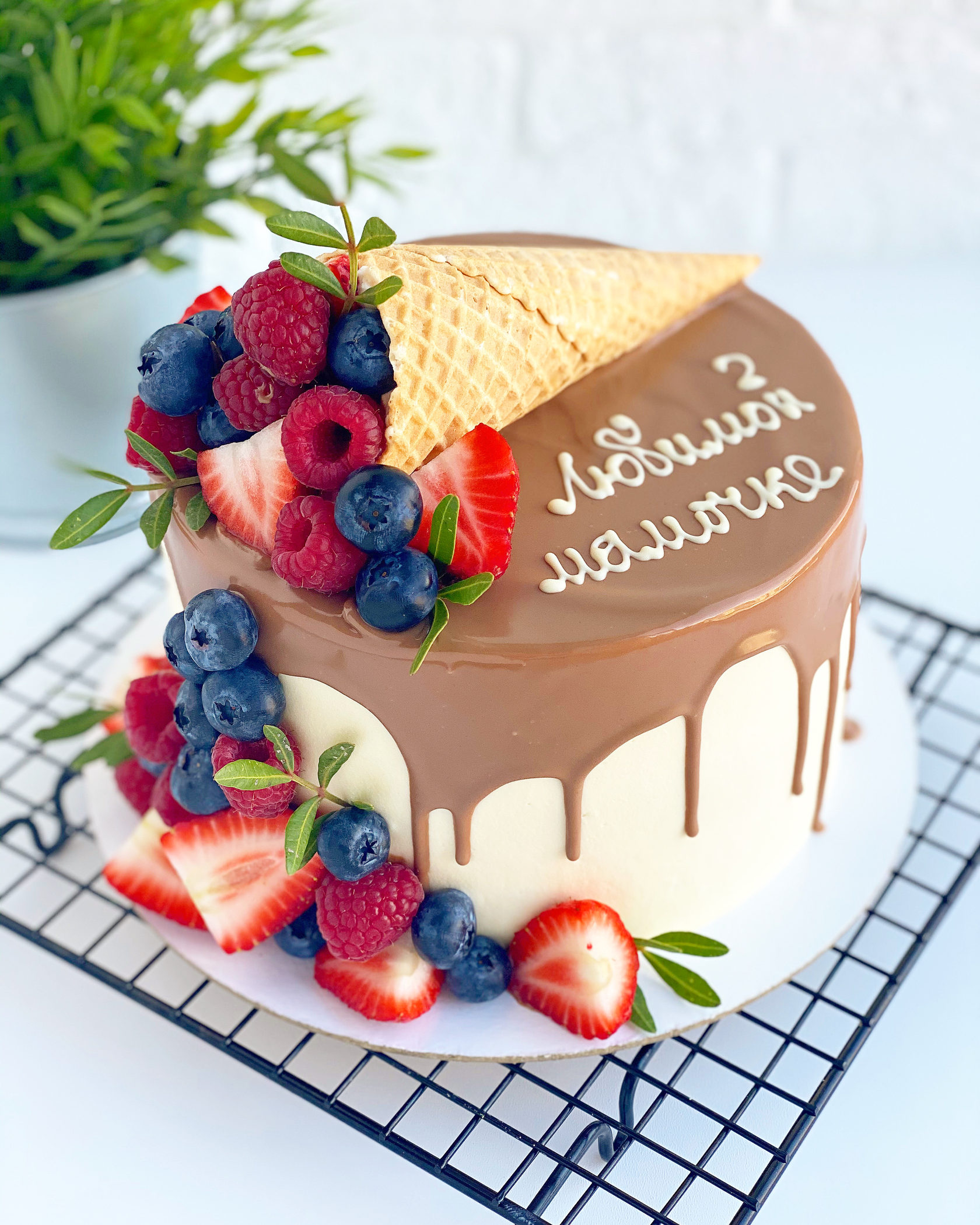Торт на день рождения 24