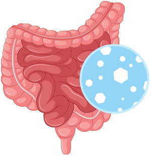 Вывод токсинов