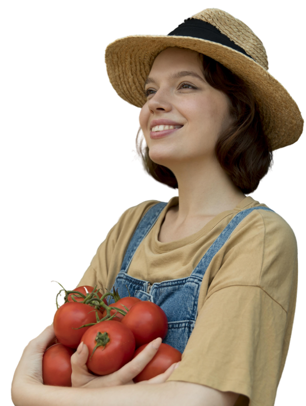 грядки из дпк распродажа