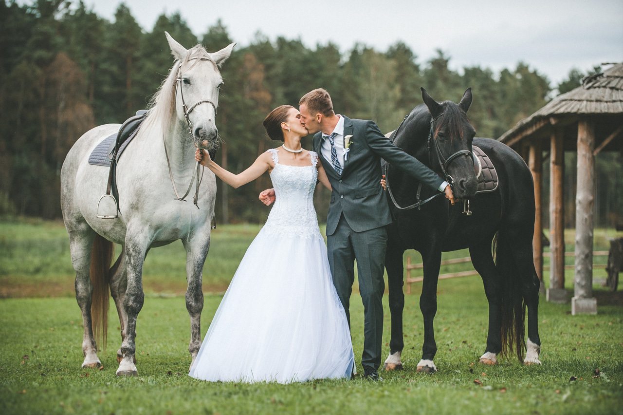 Прокат лошадей на свадьбу | Аренда карет - свадьба на лошадях.