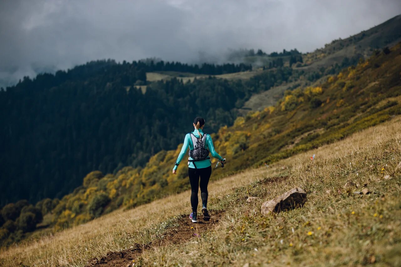 Беговая академия Wild Trail