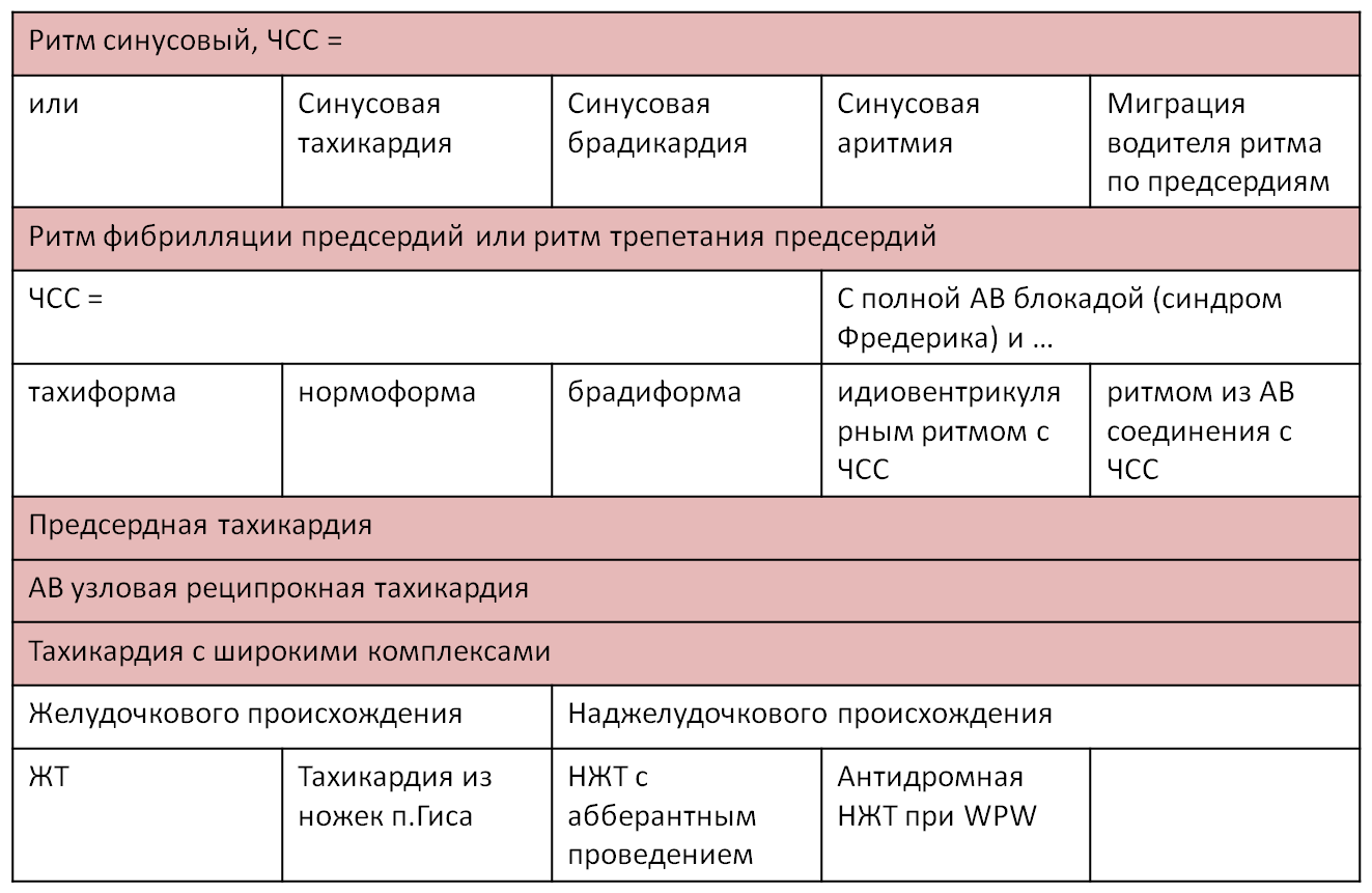 Как правильно отвечать ЭКГ на экзамене