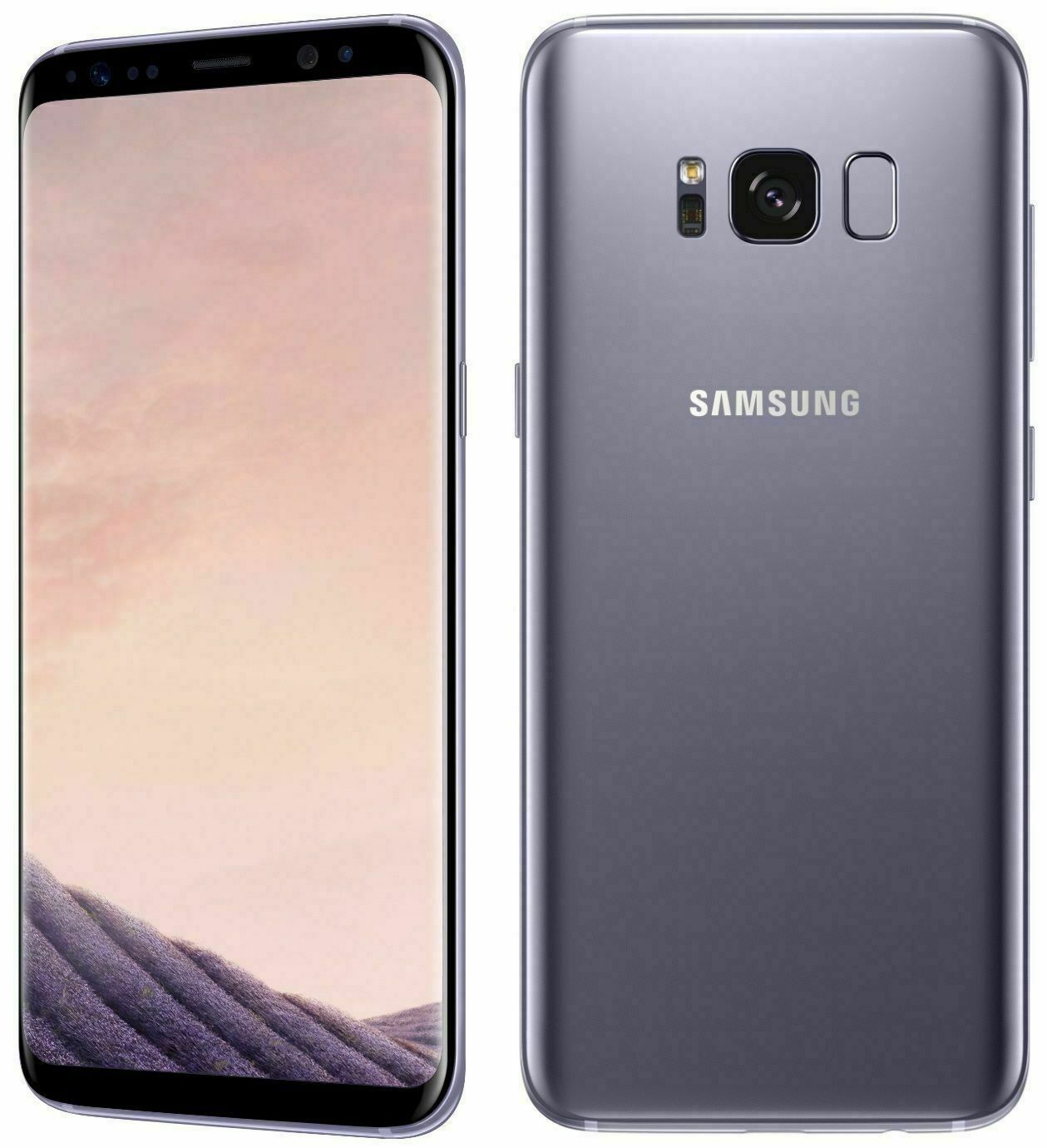 Samsung s8 сколько. Samsung Galaxy s8 Plus. Samsung Galaxy s8 Plus 64gb. Samsung g950 Galaxy s8. Samsung Galaxy s8 SM-g9500.