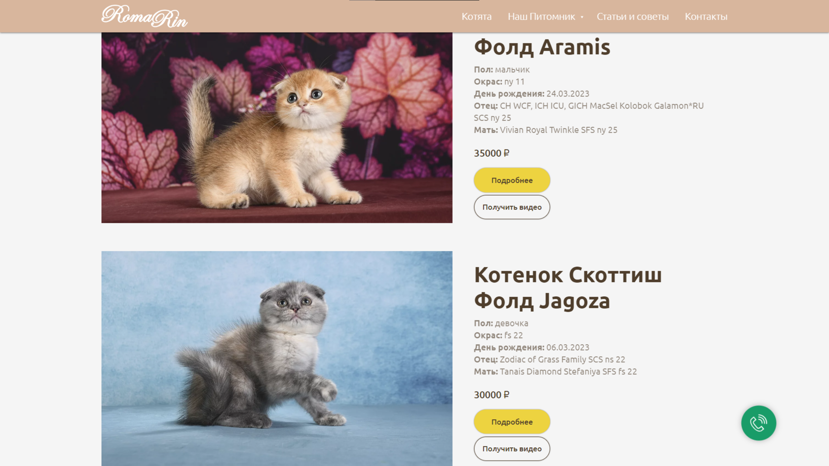 Купить шотландского вислоухого котенка в Москве