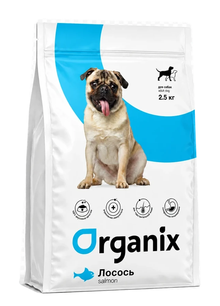 Логотип Organix