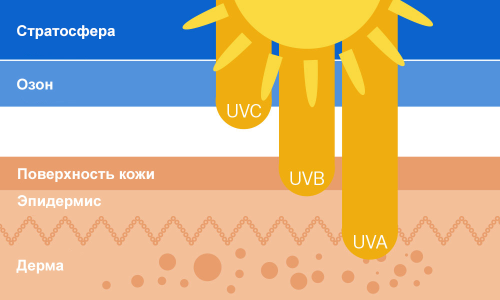 UVA-лучи и UVB-лучи, проникновение в дерму