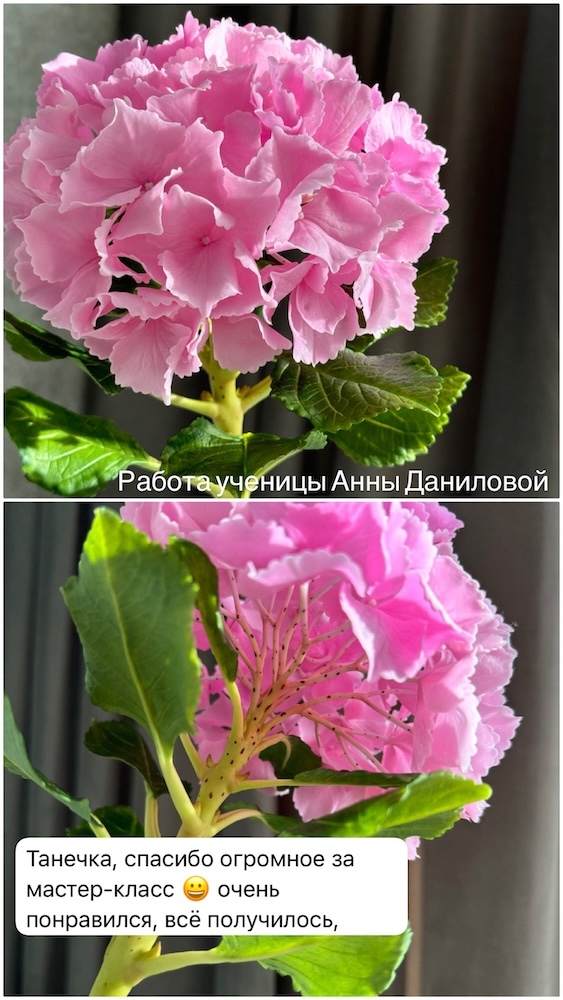 Отзыв ученицы 5