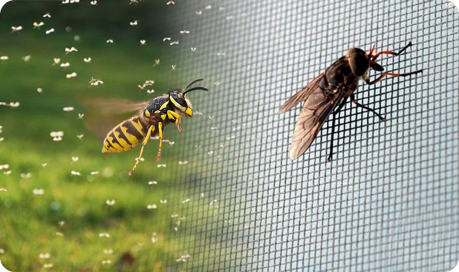 Все виды москитных сеток в Томске в компании БизнесОкна, ремонт, изготовление, установка.