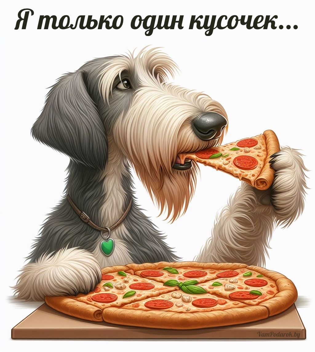 День рождения пиццы - 9 февраля - открытка