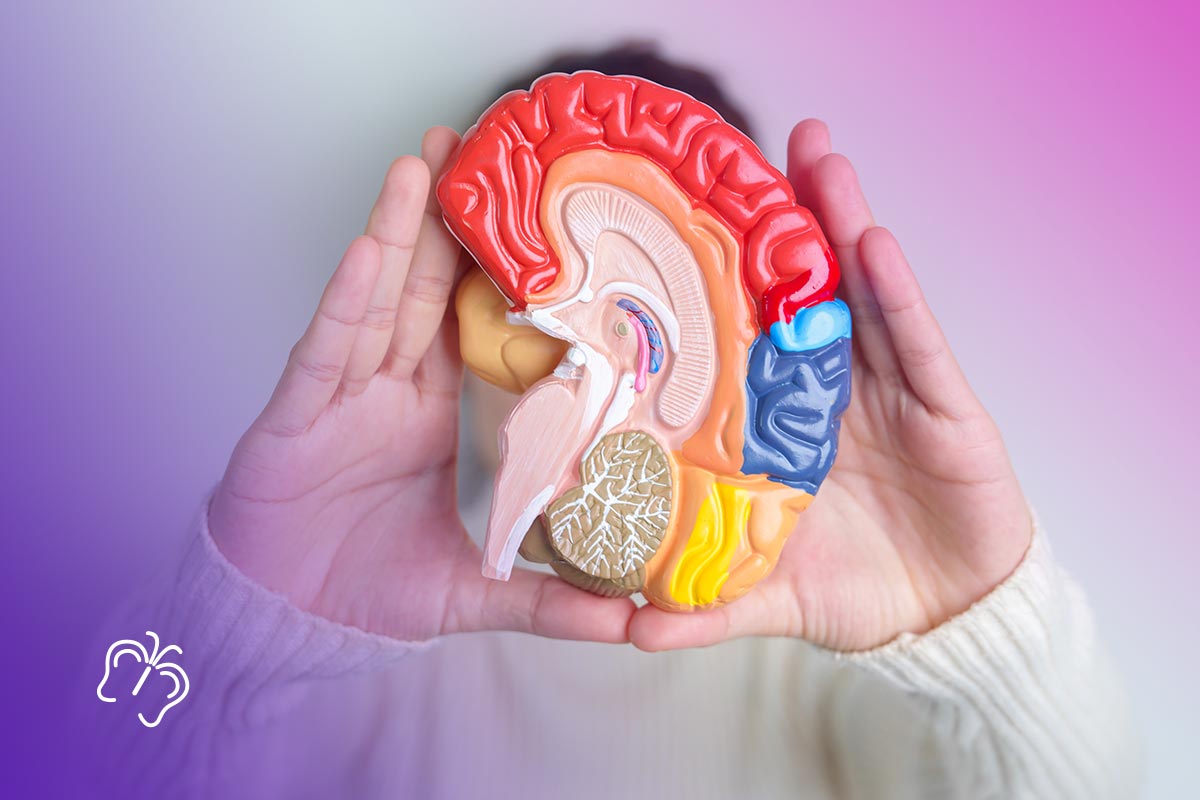 Слух и мозг