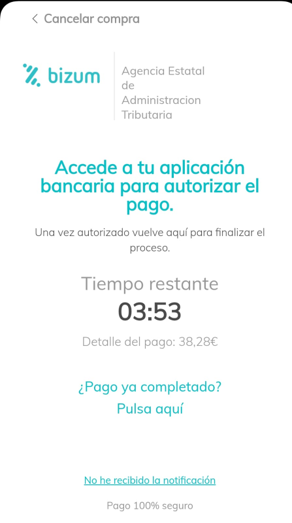 Bizum — pantalla de espera de confirmación bancaria