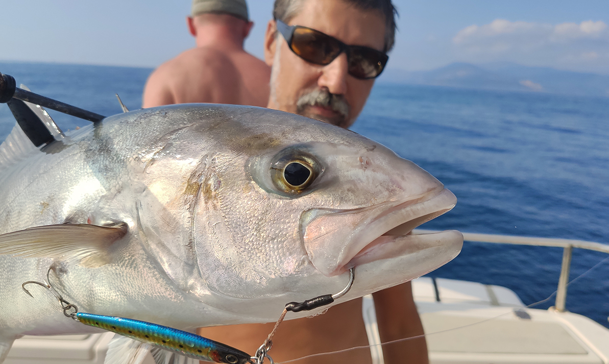 ТУНЦЫ, БОНИТО, АМБЕРДЖЕКИ, ЗУБАНЫ, ГРУПЕРЫ, МАХИ-МАХИ, БАРРАКУДЫ, ЛУФАРИ
