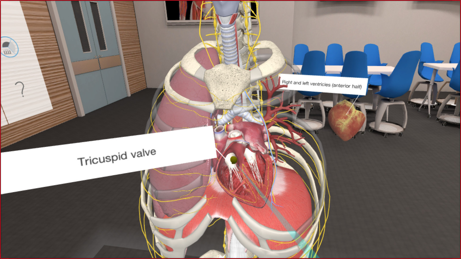 3D Organon VR Anatomy