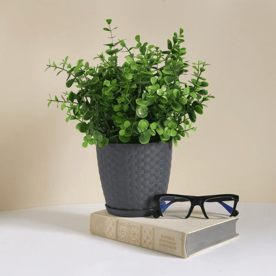 Фотоcессия товара для OZON. Цветочные горшочки.