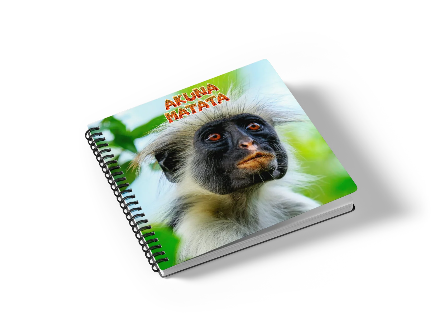 Презентация тура в ЮАР от Akuna Matata Trip