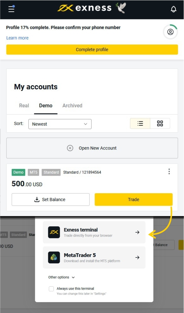 What Makes Types of Accounts at Exness That Different