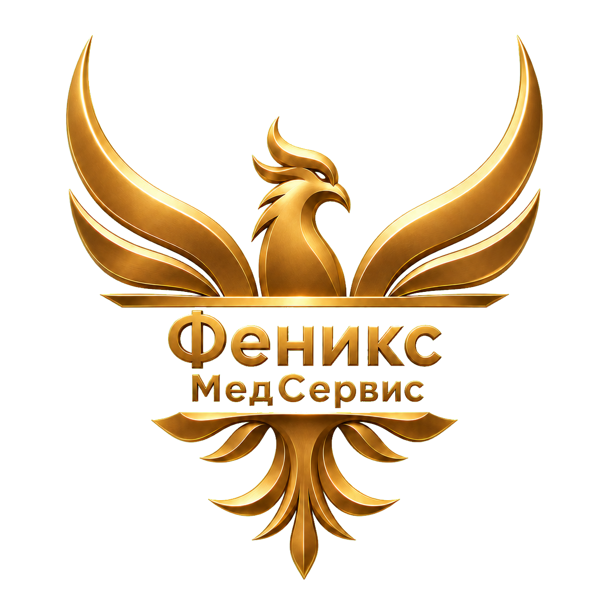  ООО "Мед Сервис Феникс" 