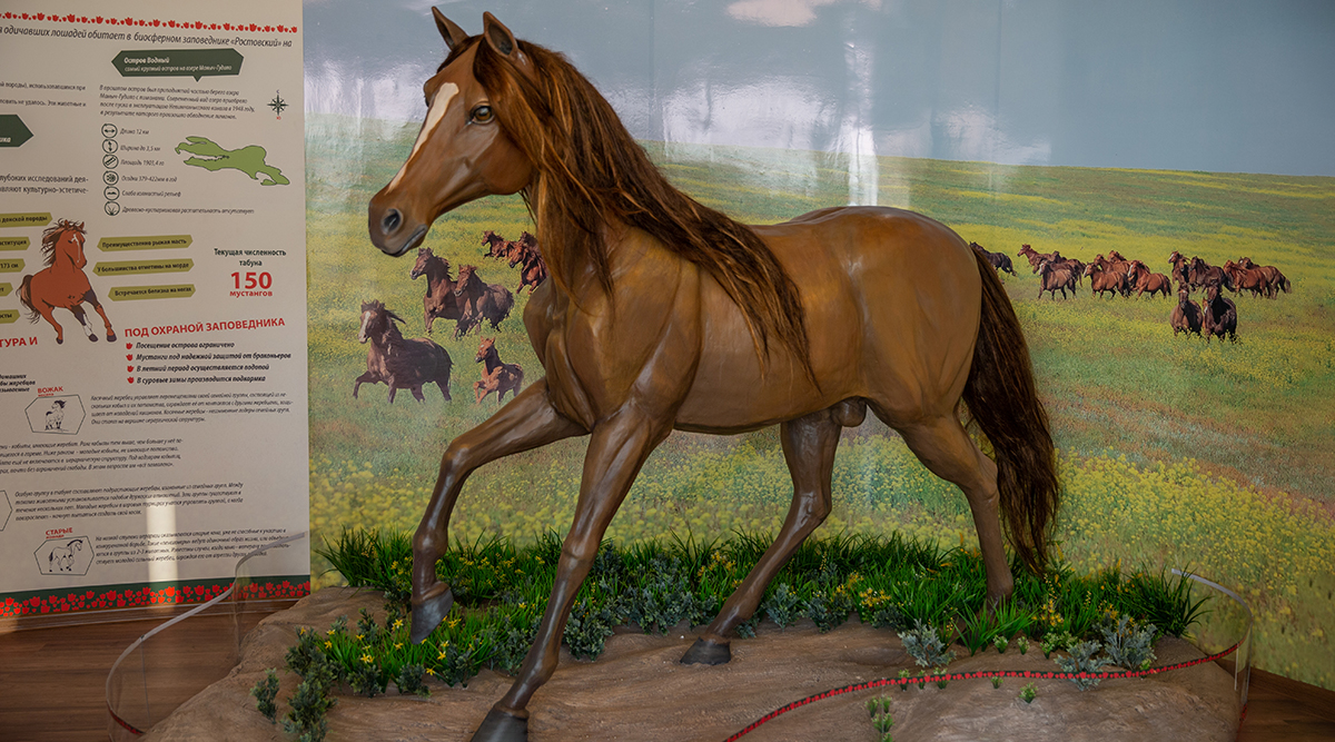 Реалистичный муляж коня в масштабе