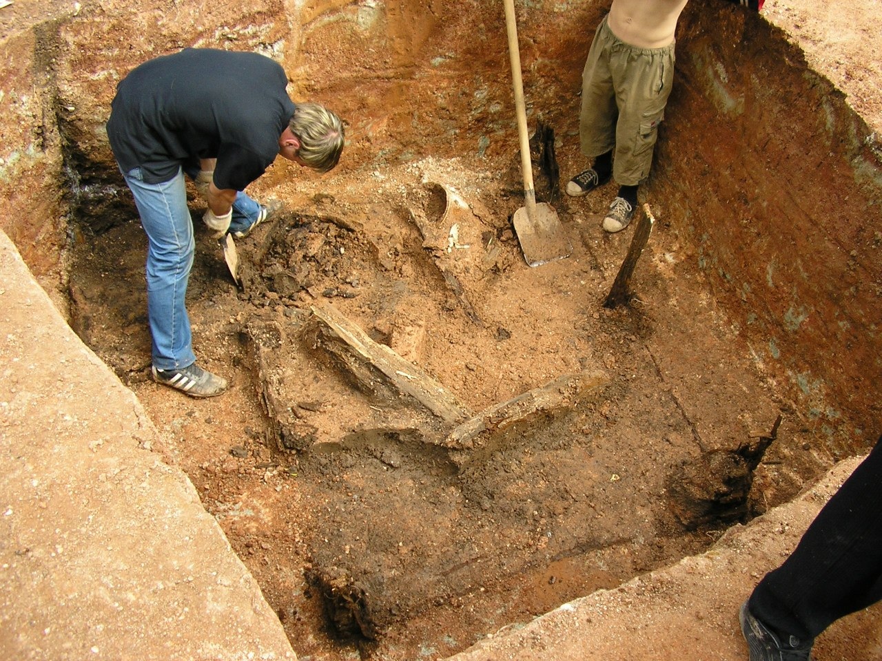 наблюдатель от ано цифровая археология